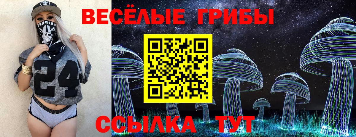 Галлюциногенные грибы Psilocybe Боровичи