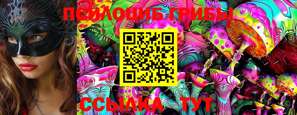 Боровичи  Галлюциногенные грибы прущие грибы  Вход с VPN 